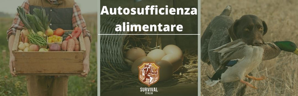 Autosufficienza alimentare: come prepararsi alla prossima crisi